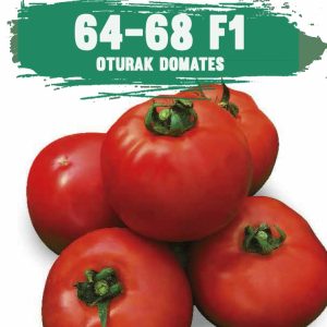 64-68 F1 OTUTRAK DOMATES