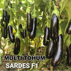 SARDES F1 PATLICAN