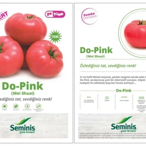 DOPİNK F1 PEMBE DOMATES