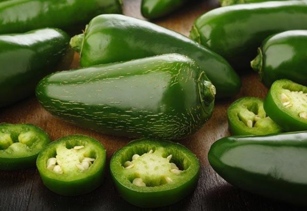 Aktif F1 Jalapeno Biber Fidesi