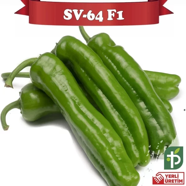 Sv-64 F1 Acı Üçburun Biber Fidesi