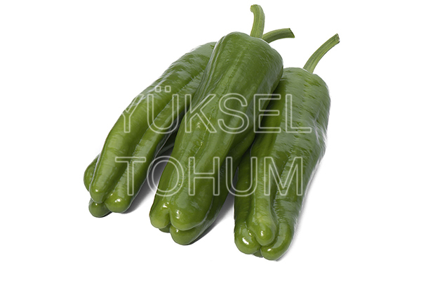 Üçburun F1 Üçburun Biber Fidesi