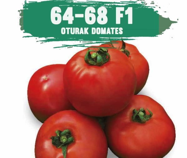 64-68 F1 Oturak Domates Fidesi