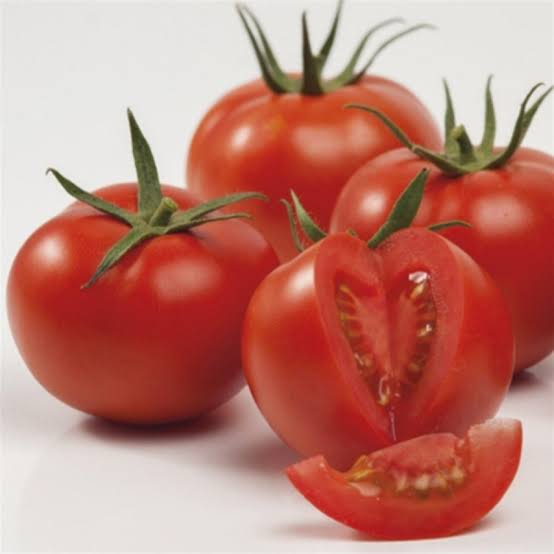 56-56 F1 Oturak Domates Fidesi