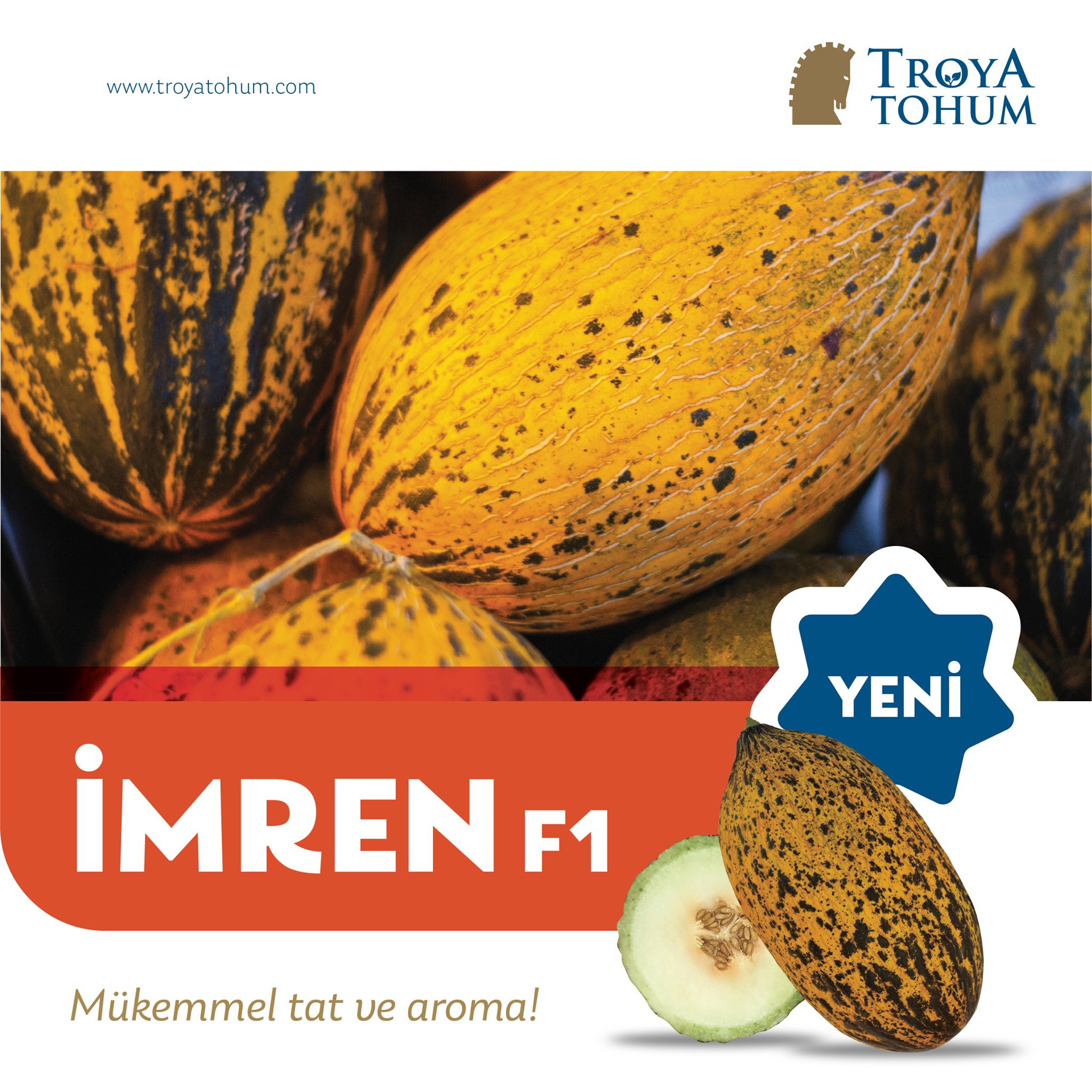 İmren F1 Kavun Fidesi