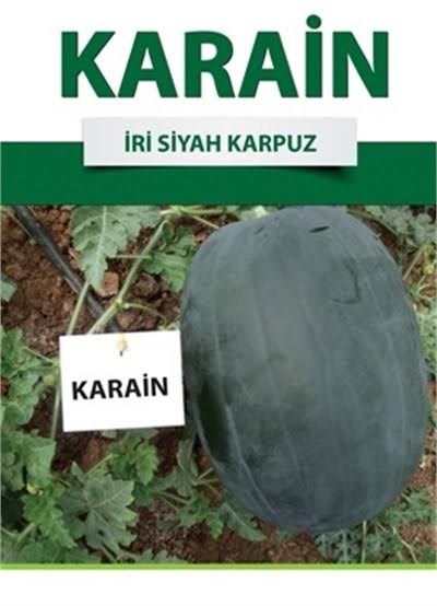 Aşılı Karain F1 Siyah Karpuz Fidesi