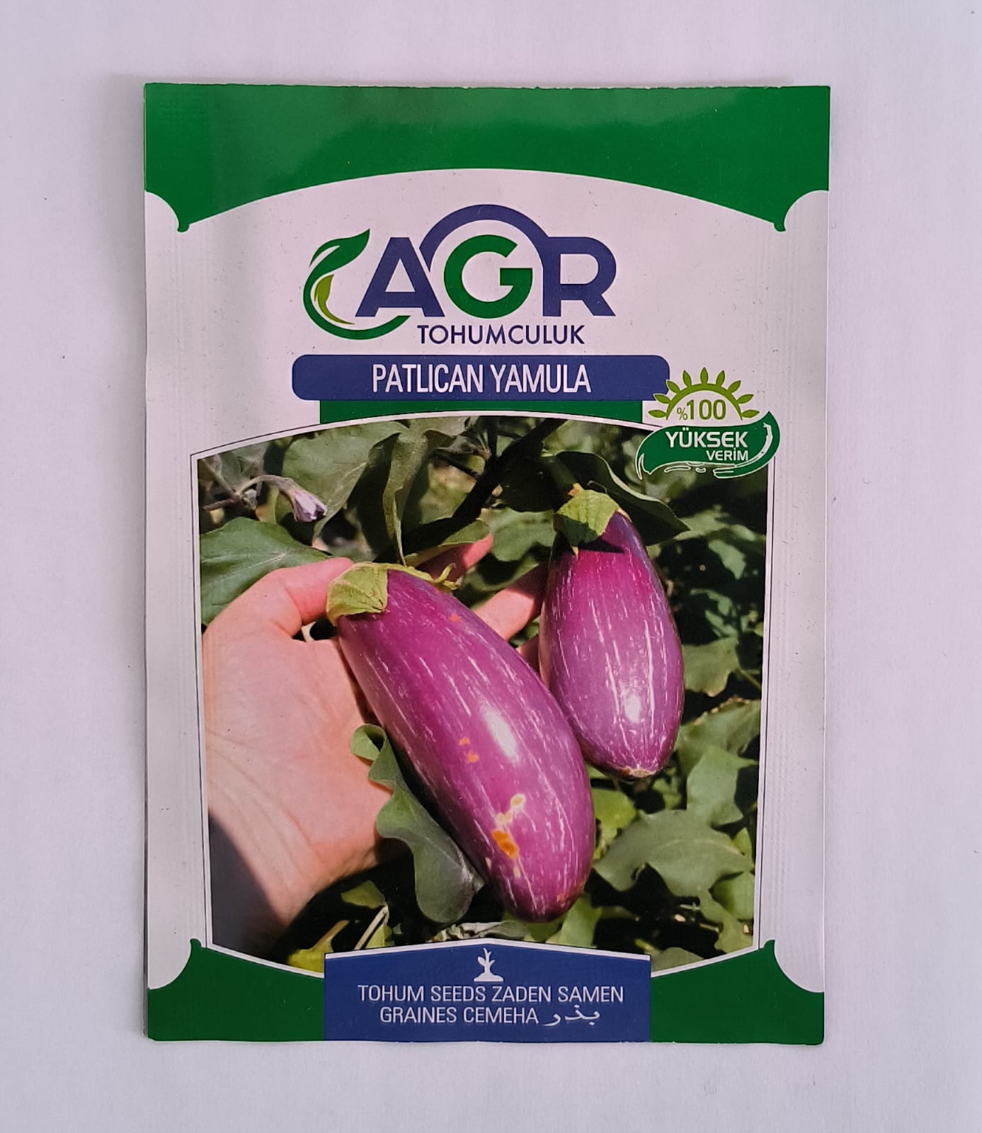 Ala Patlıcan Tohumu