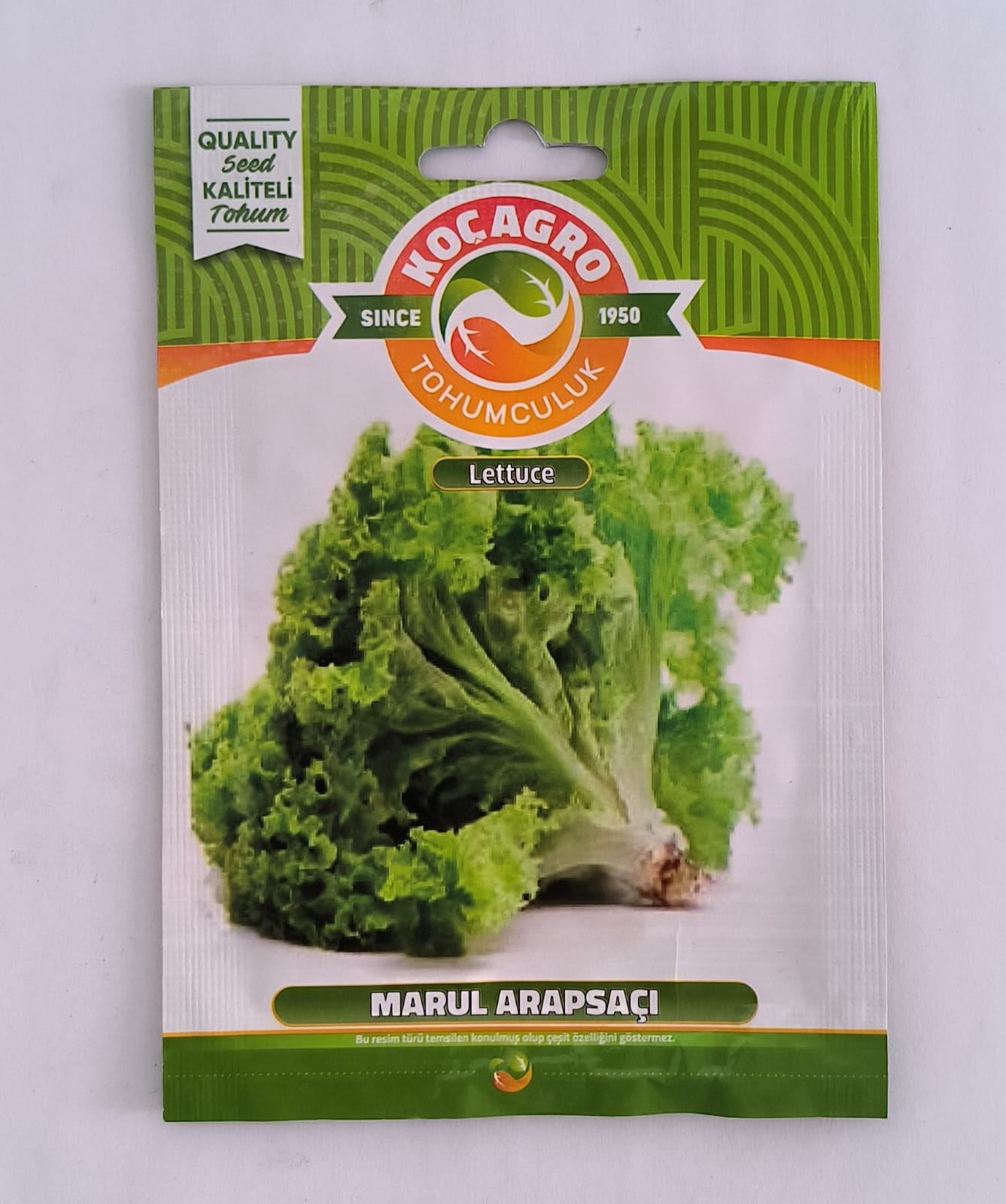 Kıvırcık Marul Tohumu