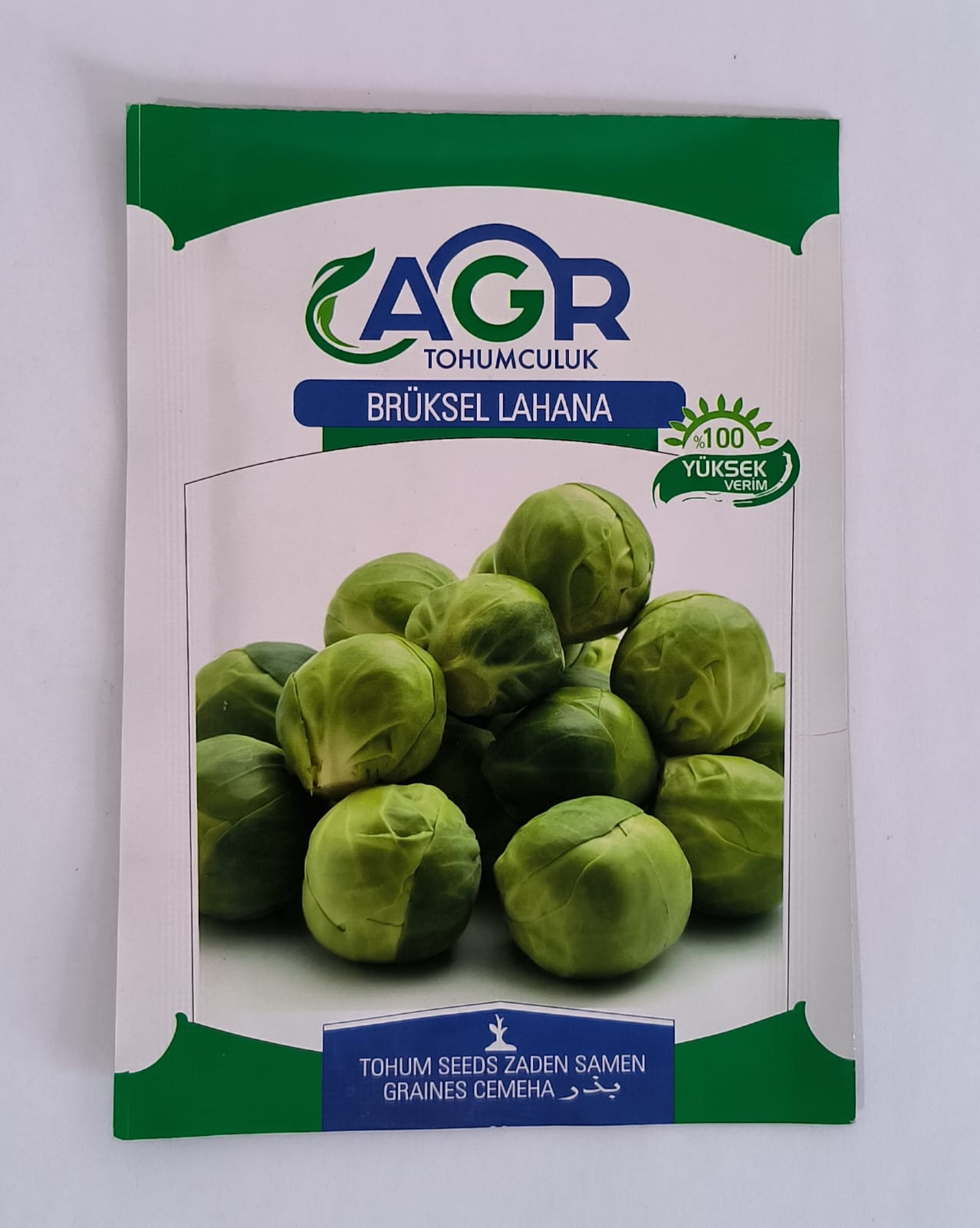 Brüksel Lahana Tohumu