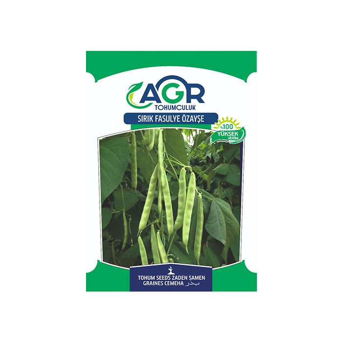 Öz Ayşe Sırık Fasulye Tohumu