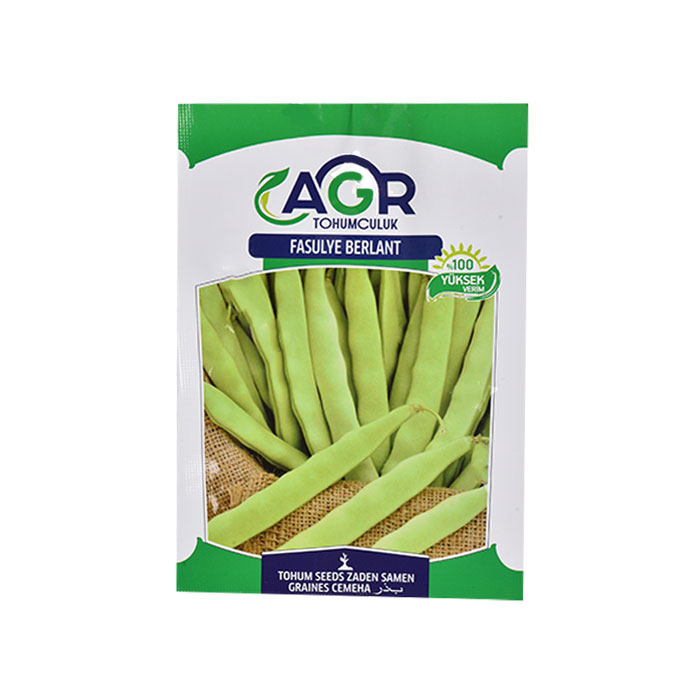 Berlant Oturak Fasulye Tohumu