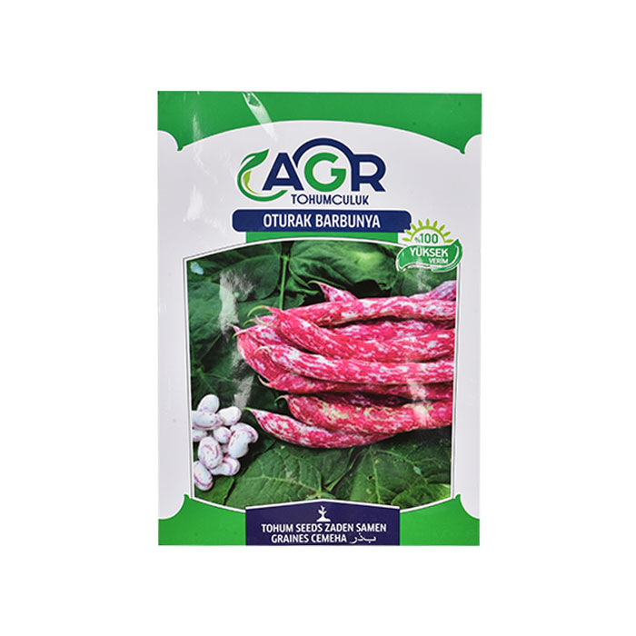 Oturak Barbunya Tohumu