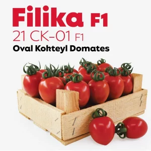 FİLİKA F1 KOKTEYL DOMATES